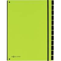 PAGNA desk file 34x26.5x2cm 12 compartments lime green