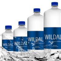 WILDALP Premium Quellwasser 1 Palette / 684 Liter in 114 Kartons zzgl. DPG-Pfand MHD 2024 empfohlener UVP: 1.292,76 Euro (1,89 E