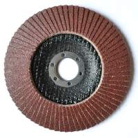 125 mm P40 Fächerscheibe Flap Disk für Winkelschleifer Schleifteller Schleifscheibe